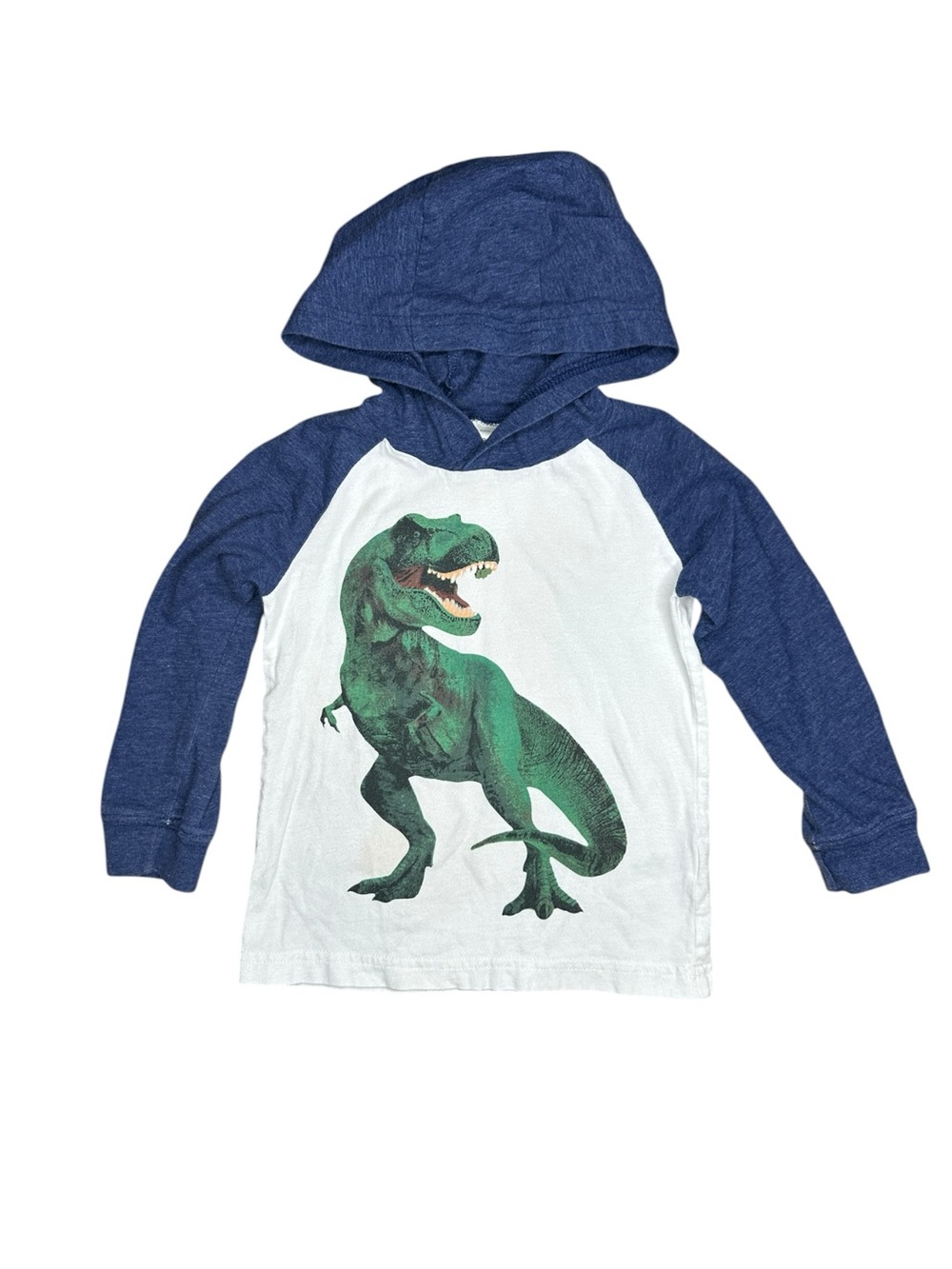Carter's Blue Sleeve Hoodie with Green Dino Graphic on White